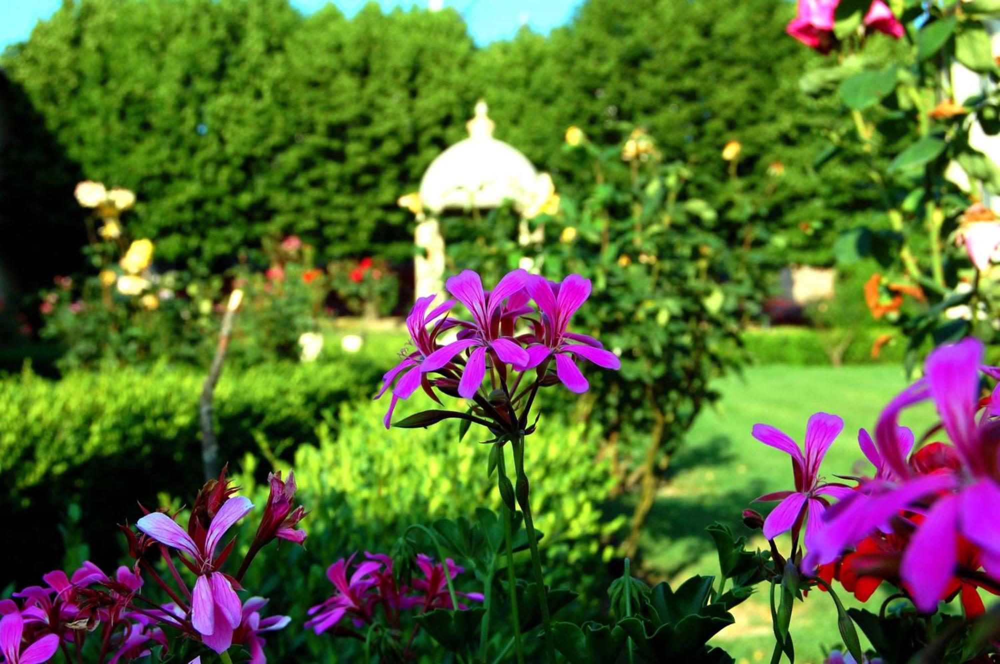 Hotel Villa San Donino 치타디카스텔로 외부 사진