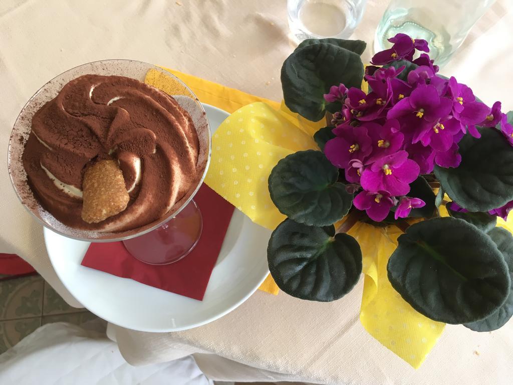 Hotel Villa San Donino 치타디카스텔로 외부 사진